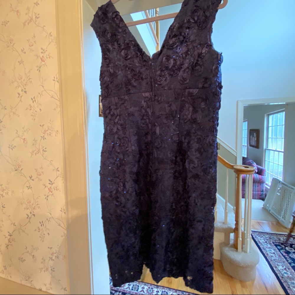 NWT Navy Lace and Soutache Dress